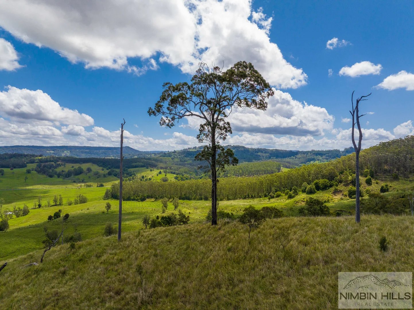 Additional image 39 of 19 Moffitt Road, Nimbin NSW 2480