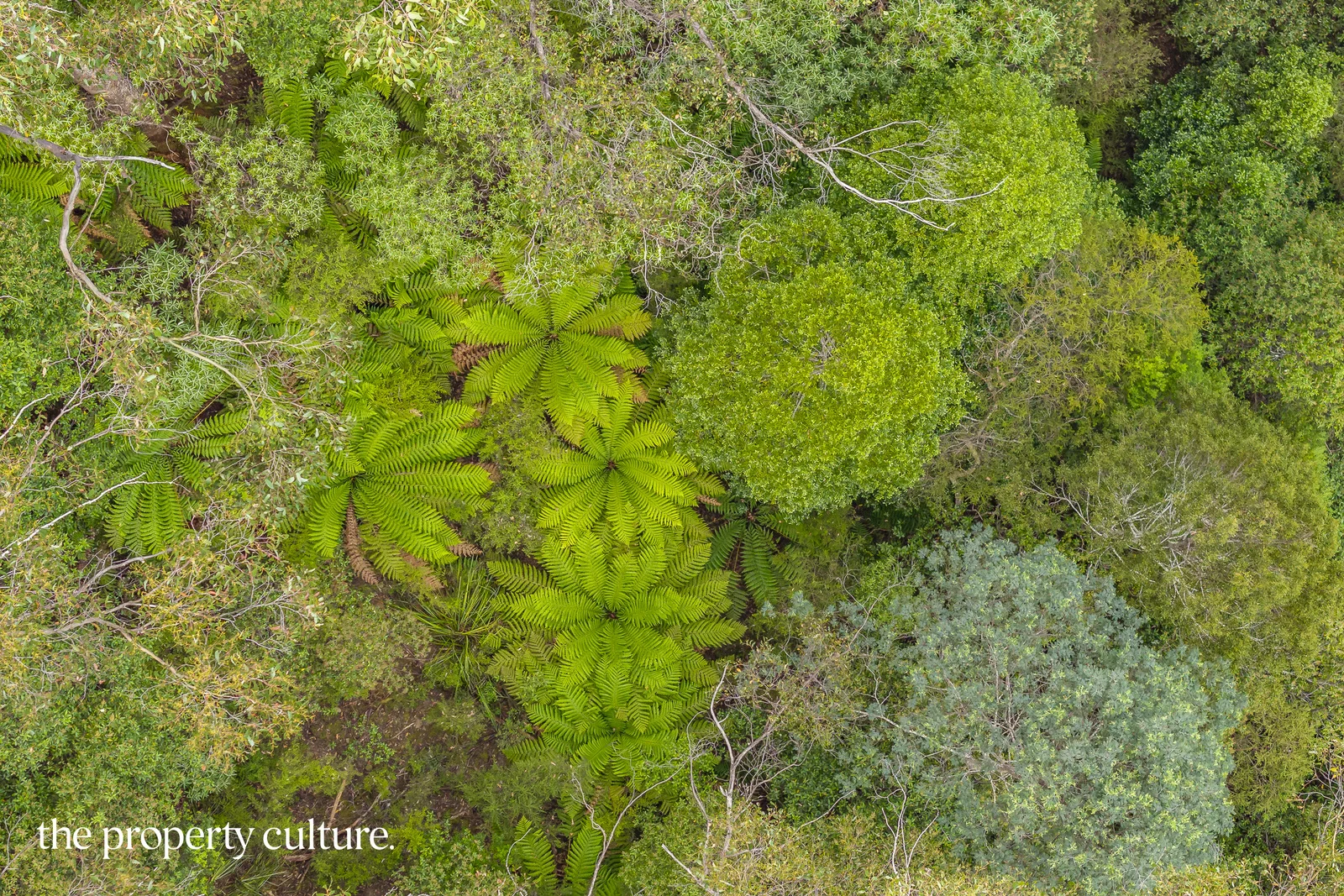 Additional image 7 of 2 Tobys Hill Rd, Cygnet TAS 7112