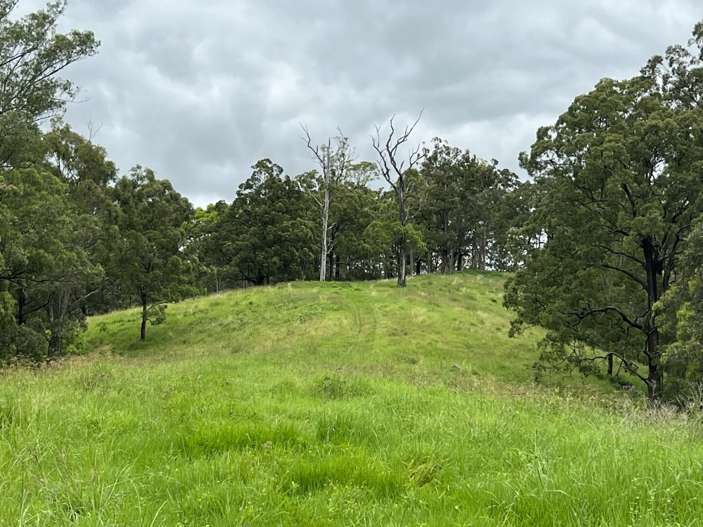 Additional image 37 of 59 Wyndham Road, Wyneden NSW 2474