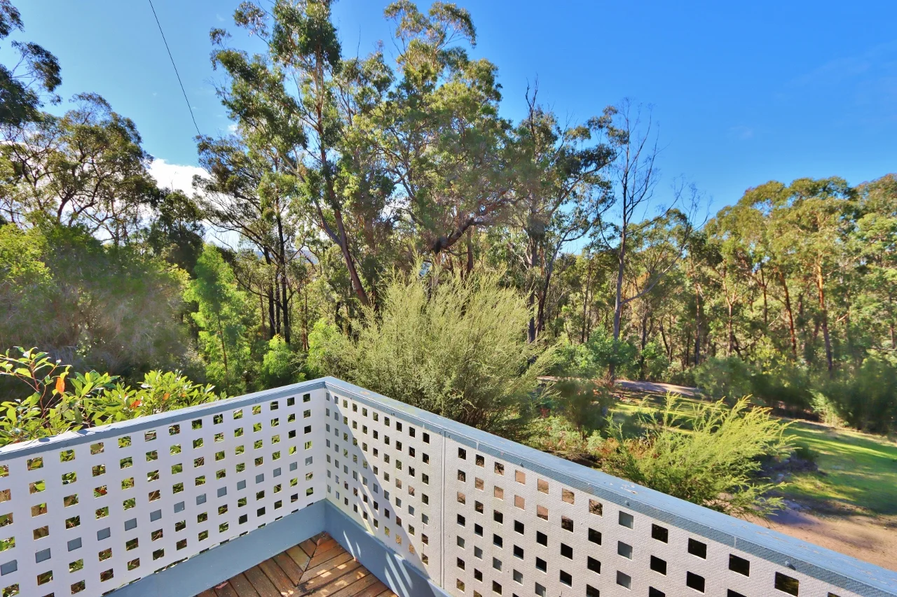 Additional image 42 of 66 Nadgee Road, Wonboyn NSW 2551