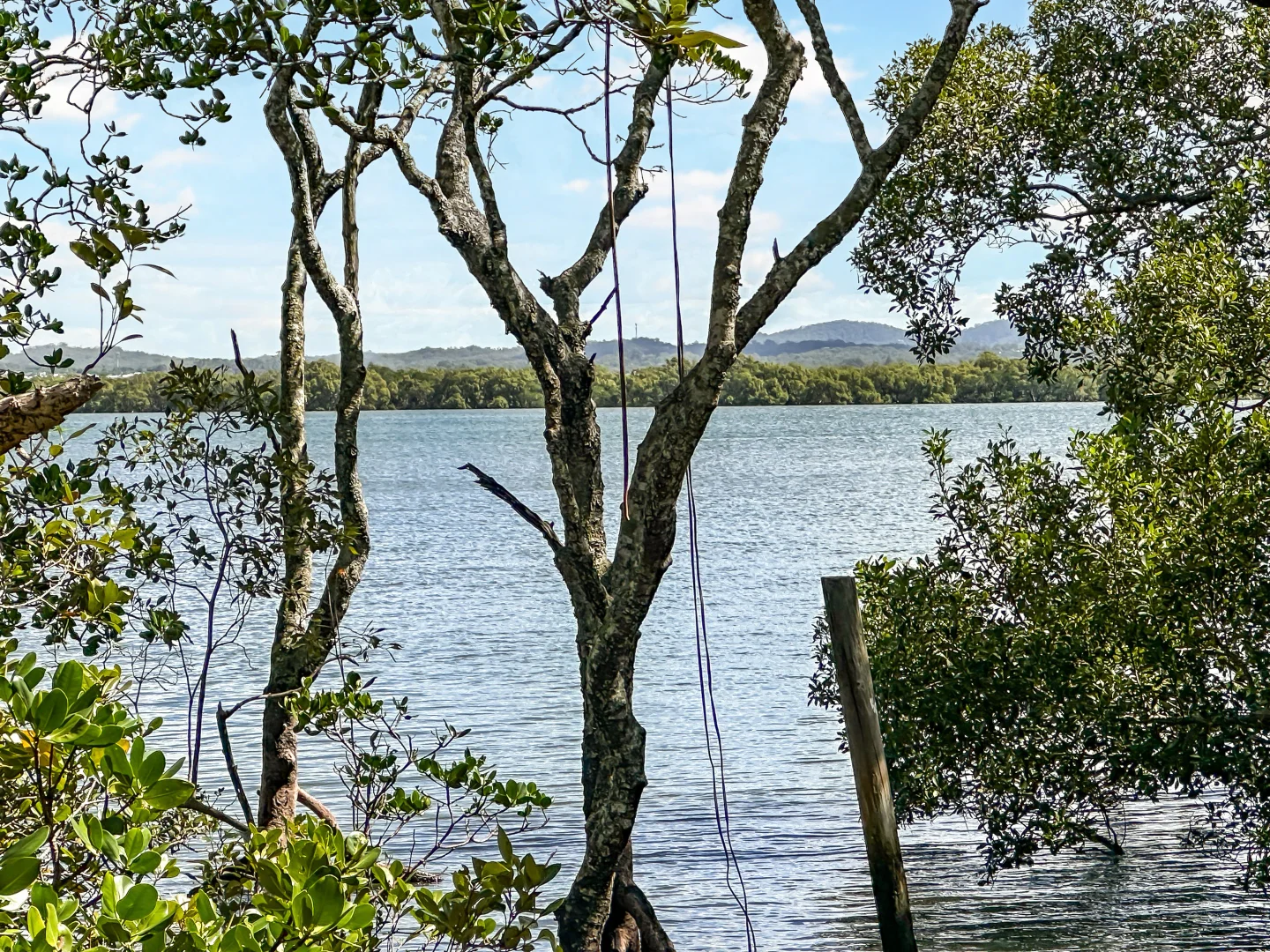 Additional image 28 of 21 Coast Road, Macleay Island QLD 4184