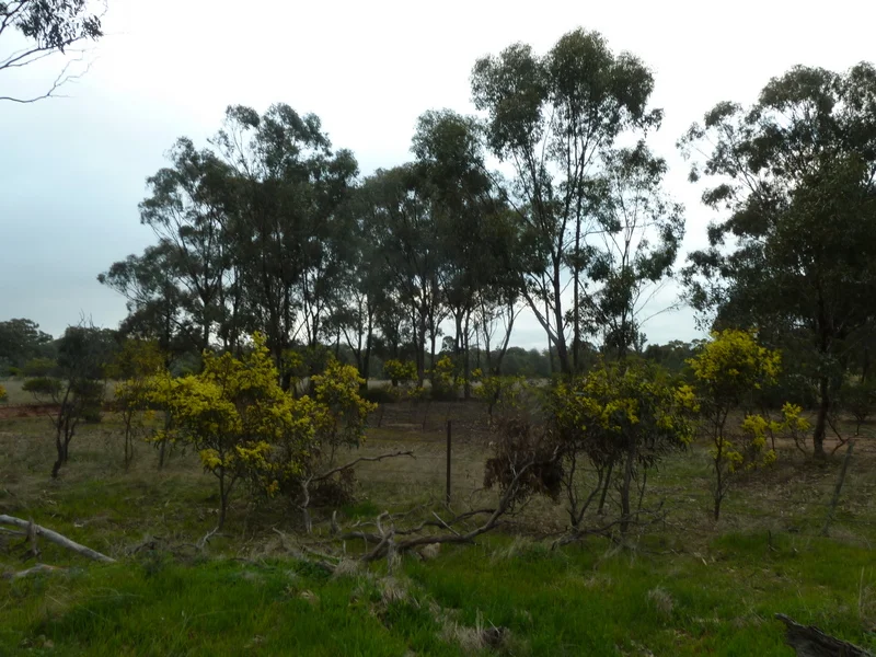Additional image 6 of Lot 50 Wedderburn Junction East-Fiery Flat Road, Wedderburn VIC 3518