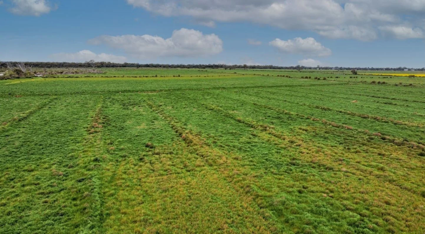 Additional image 5 of 1D McAlister Road, Benjeroop VIC 3579