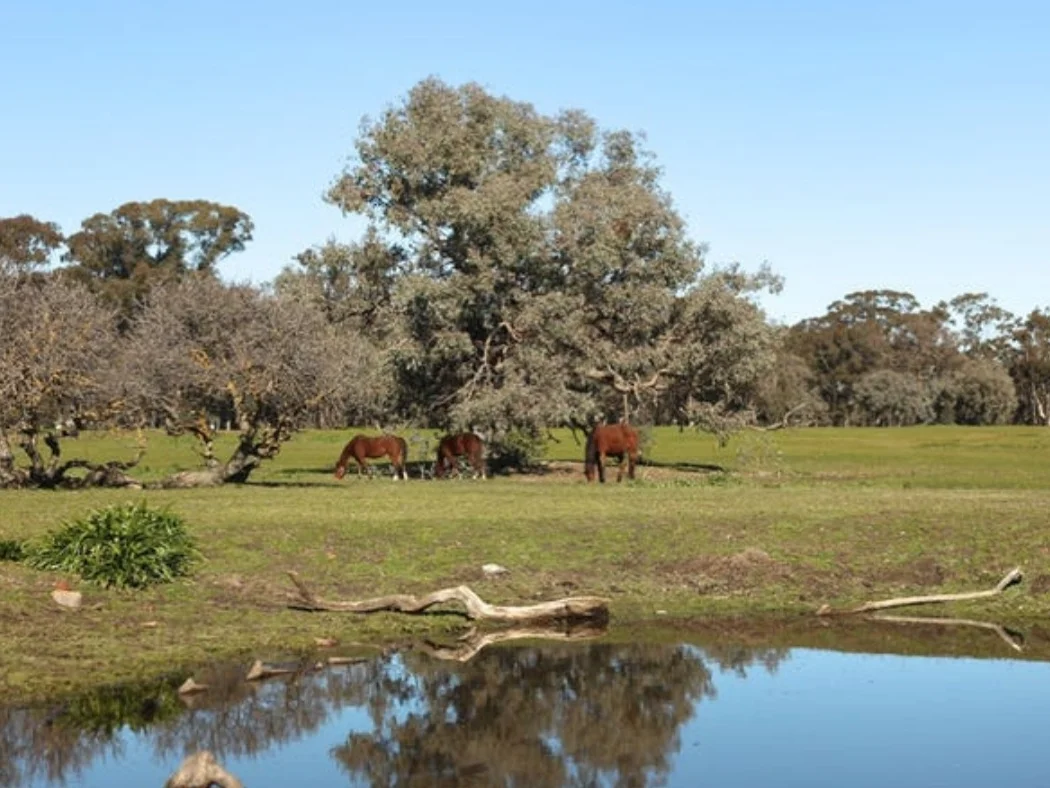 Additional image 2 of 73 Murray Street, Violet Town VIC 3669