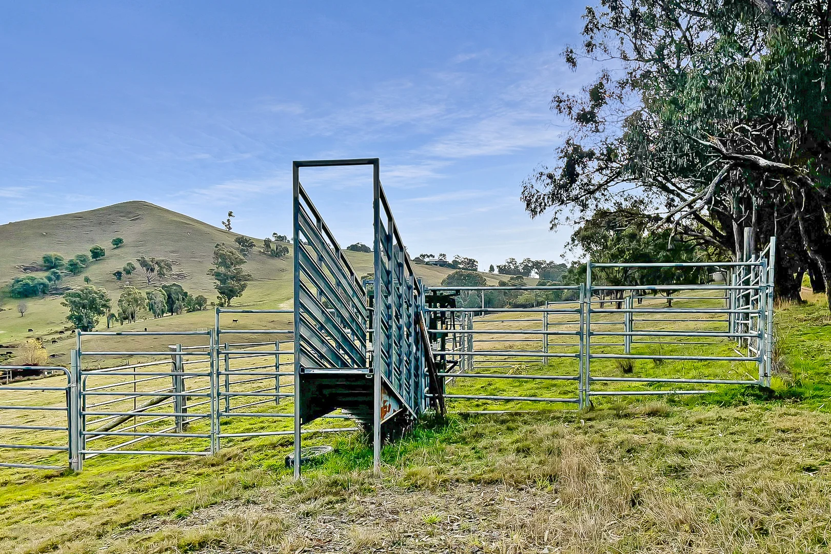 Additional image 15 of 442 Old Tonga Road, Mansfield VIC 3722