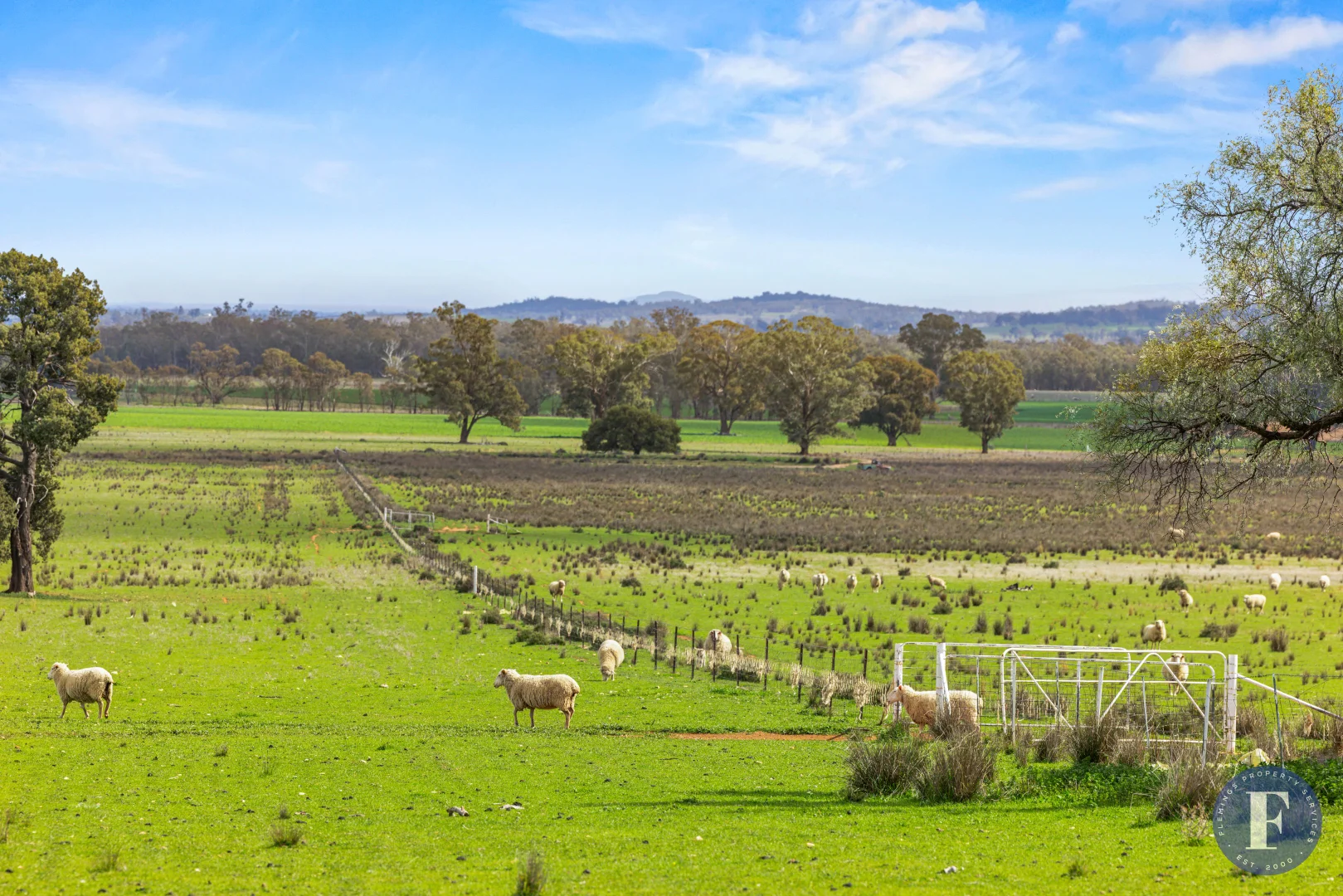 Additional image 26 of 893 Deaths Lane, Pullabooka NSW 2810