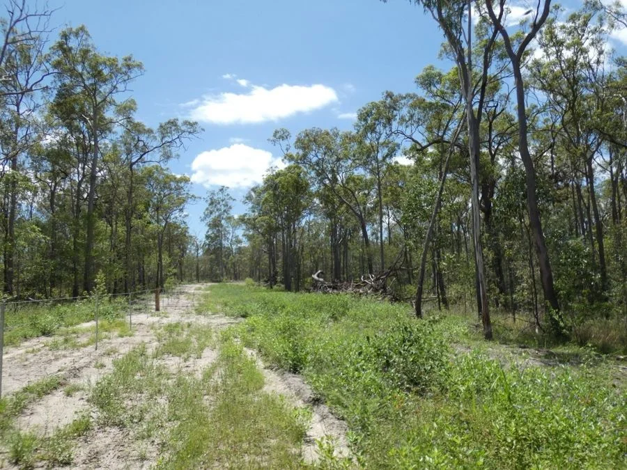 Additional image 7 of Lot 41 Moolyung Road, Waterloo QLD 4673