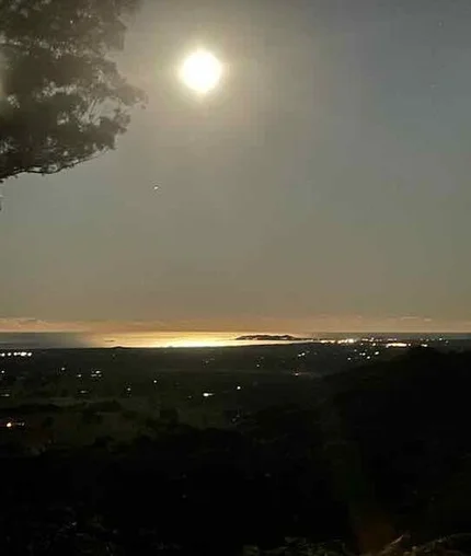 Additional image 25 of 150 Koonyum Range Road, Wilsons Creek NSW 2482