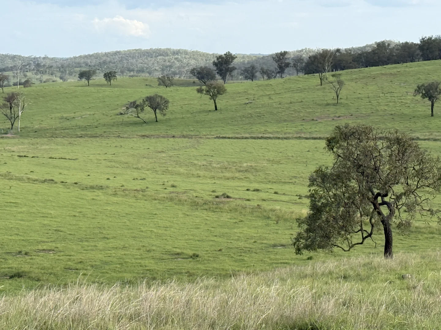 Additional image 14 of 379 Dakiel Road, Bancroft QLD 4630