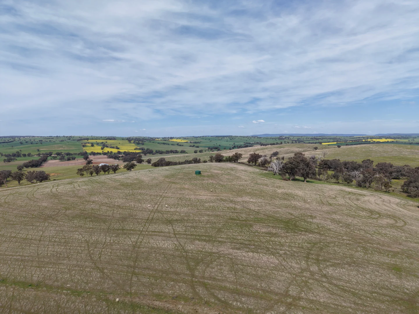 Additional image 31 of Bumbaldry Road, Greenethorpe NSW 2809