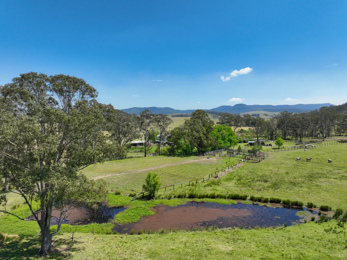 Additional image 19 of 283 Tooloom Road, Urbenville NSW 2475