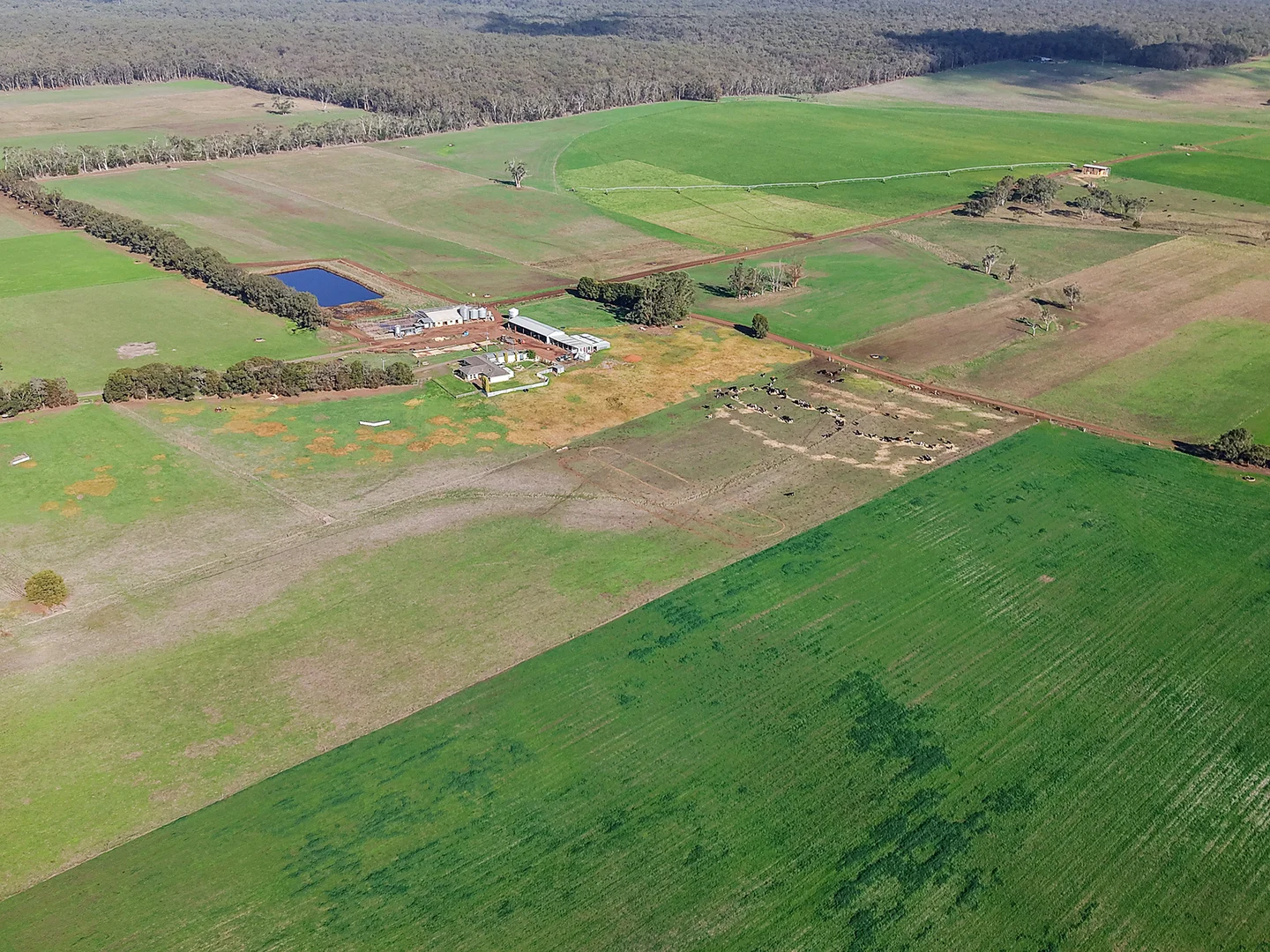 Additional image 31 of 140 Savins Road, Condah VIC 3303