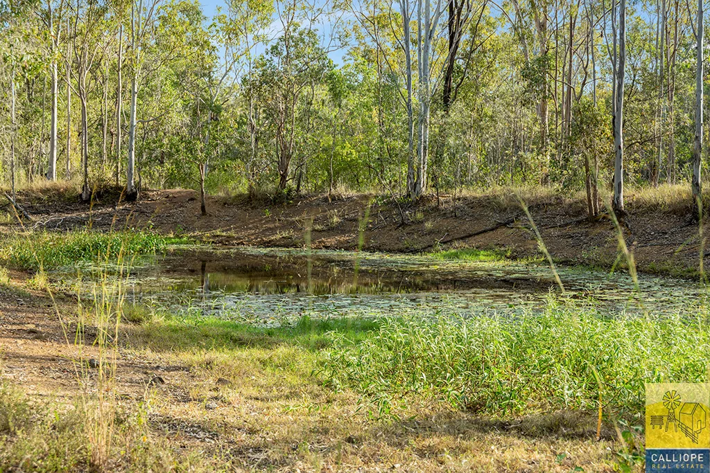 Additional image 25 of 400 Wildman Road, Iveragh QLD 4680