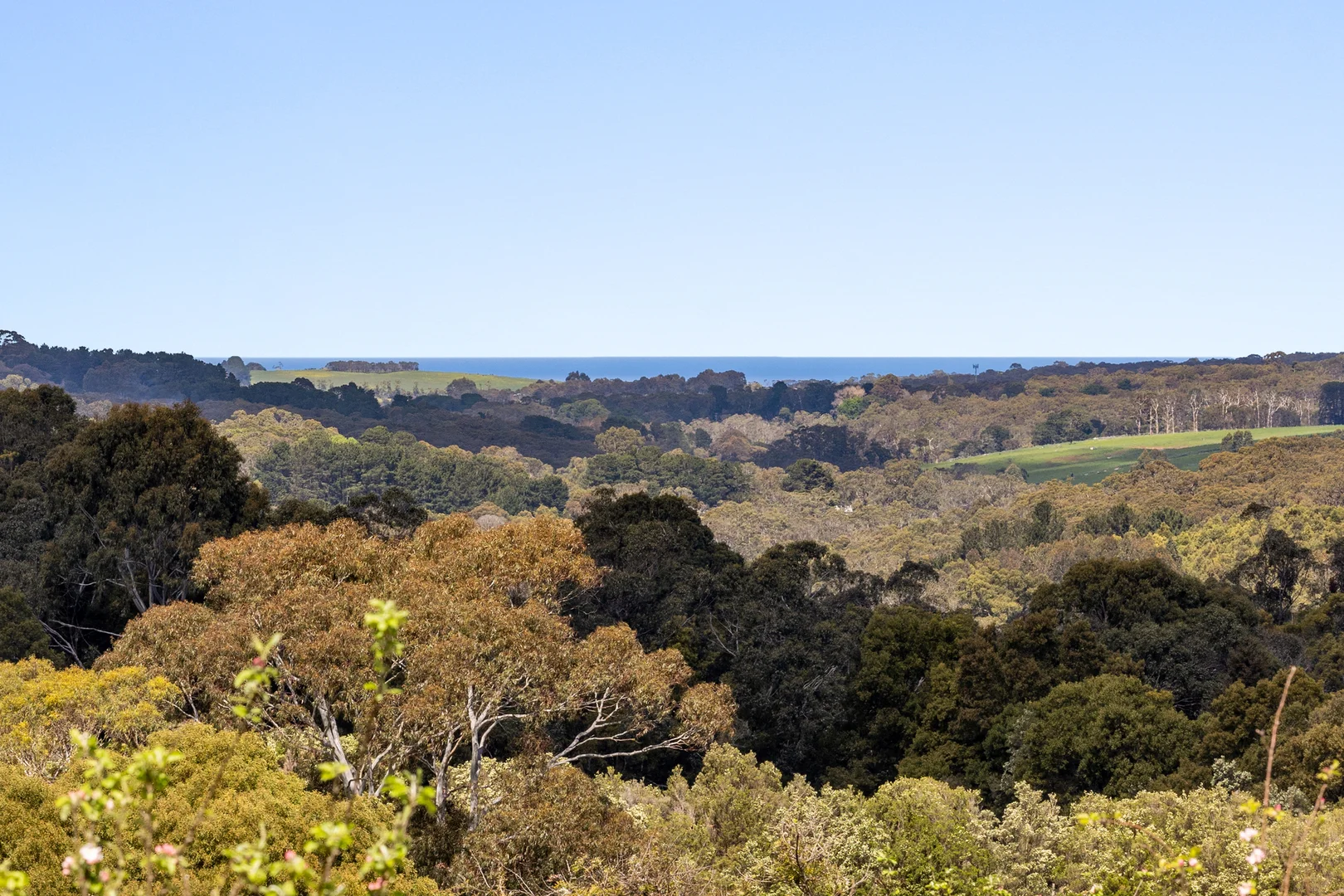 Additional image 19 of 10 Heath Lane, Arthurs Seat VIC 3936