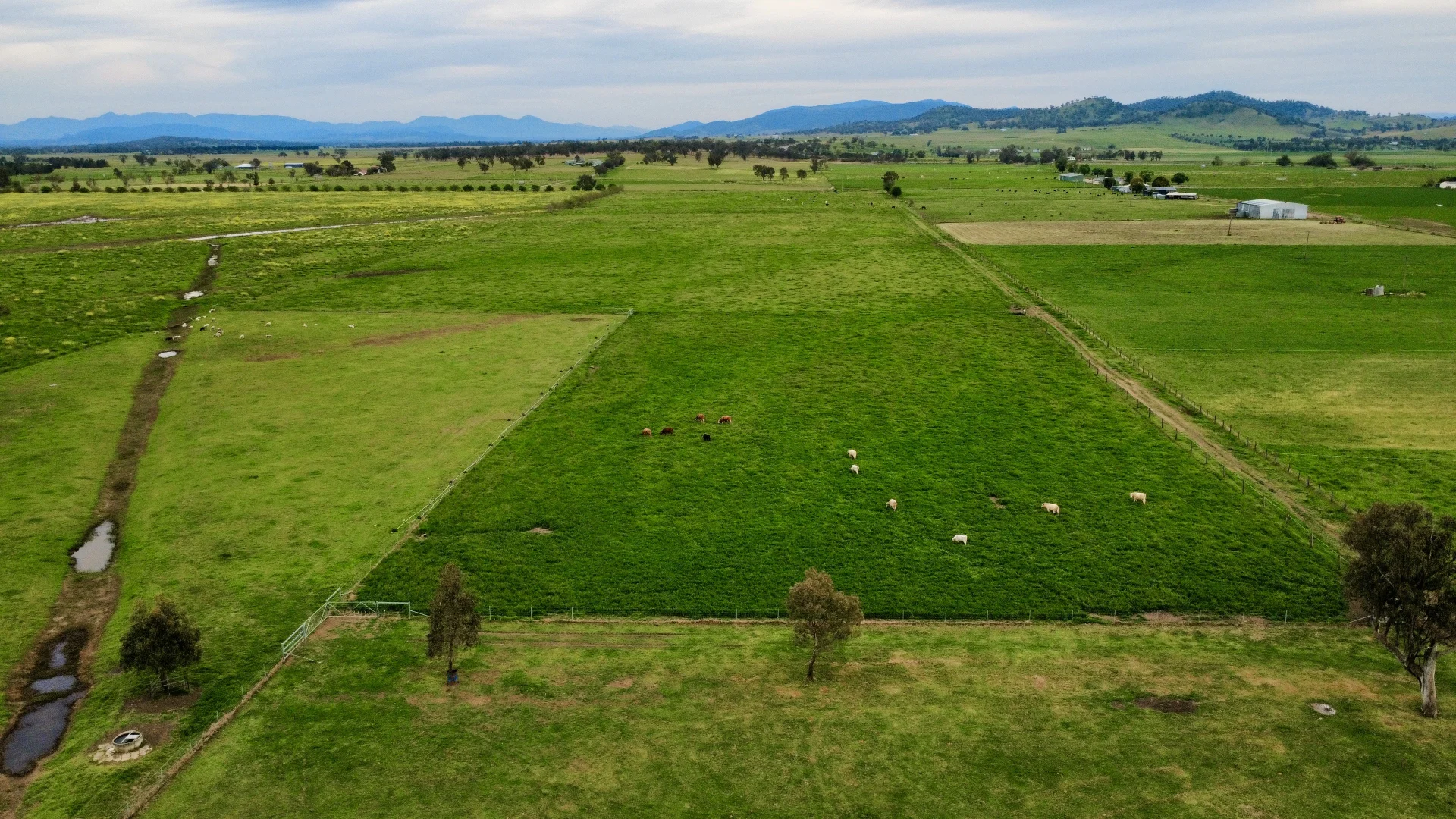 Additional image 38 of "Runnymeade" 80 Blairmore Lane, Aberdeen NSW 2336