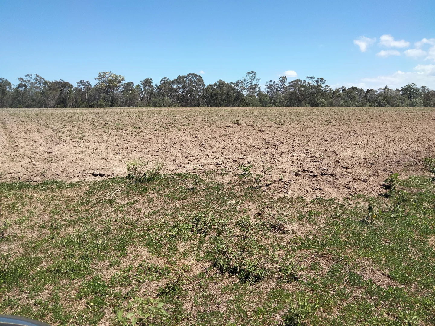 Additional image 6 of 2913 Rosedale Road, Yandaran QLD 4673