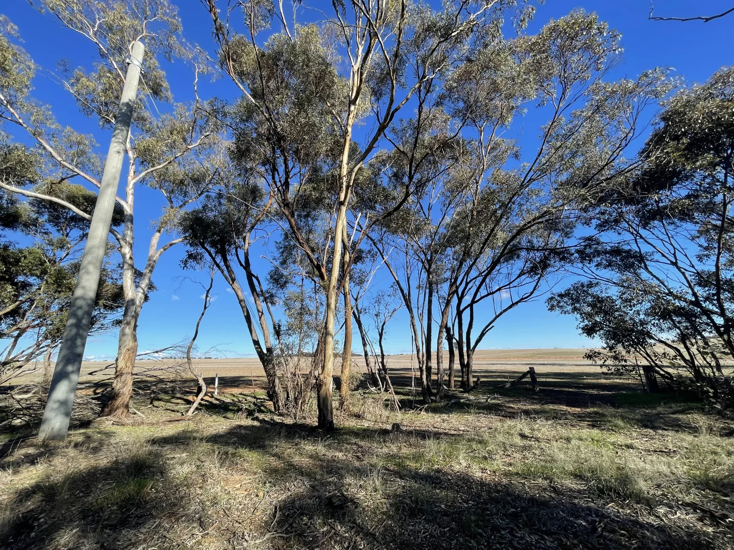 Additional image 25 of 54/54 Calder Highway, Wedderburn VIC 3518
