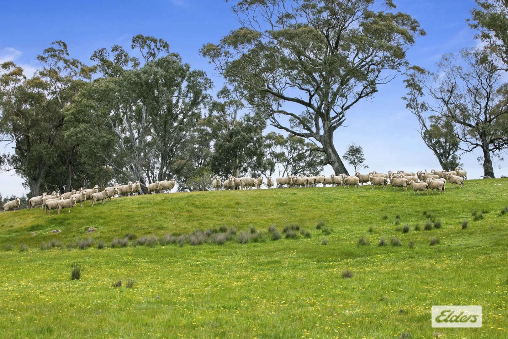 Additional image 31 of CA 18,92,9 Raeburn Road, Paradise VIC 3477