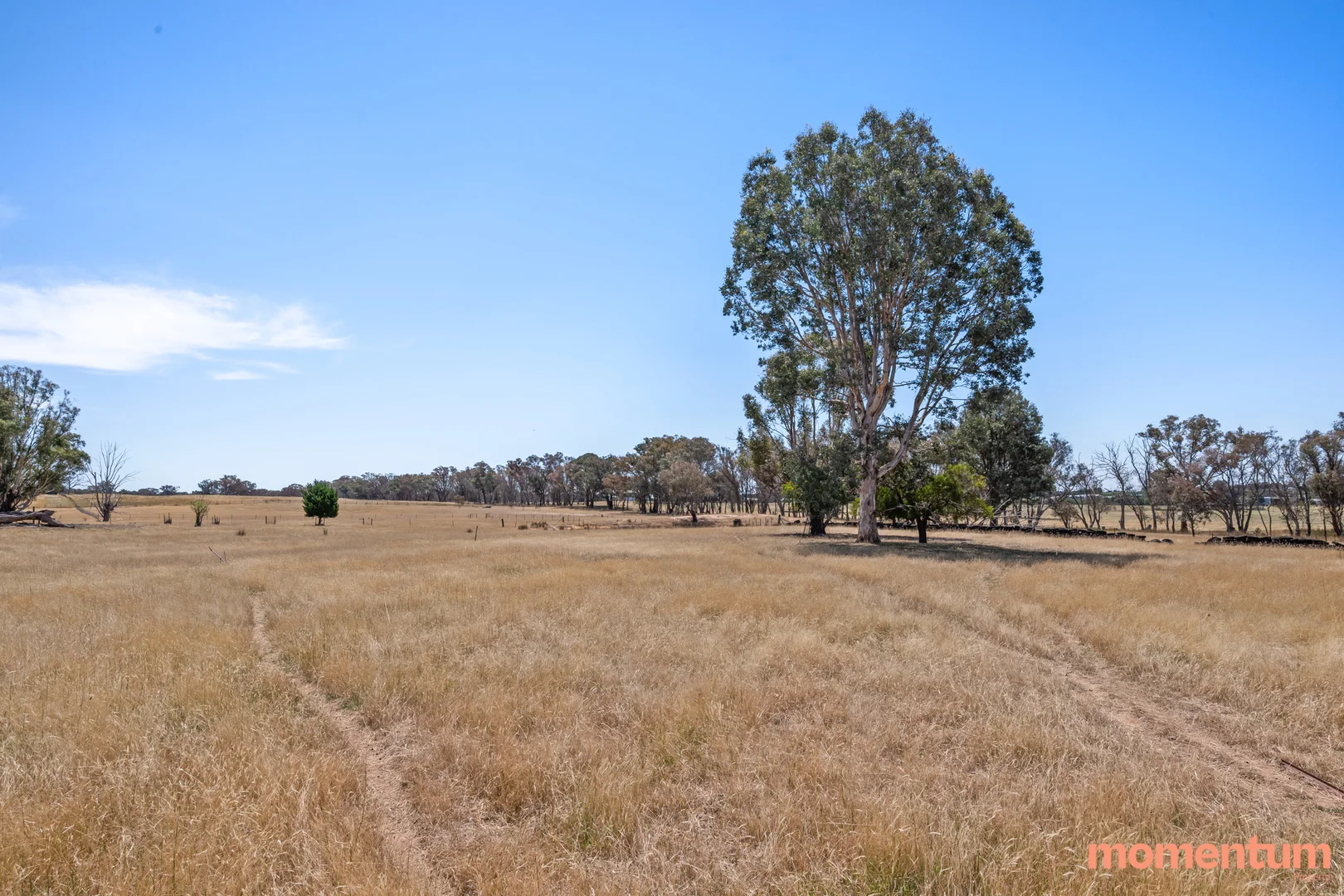 Additional image 49 of 5 Euroka Avenue, Murrumbateman NSW 2582