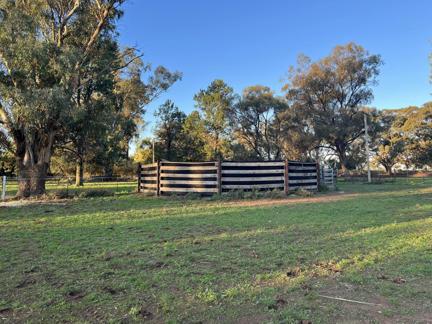 Additional image 12 of 651 Jerilderie Road, Berrigan NSW 2712