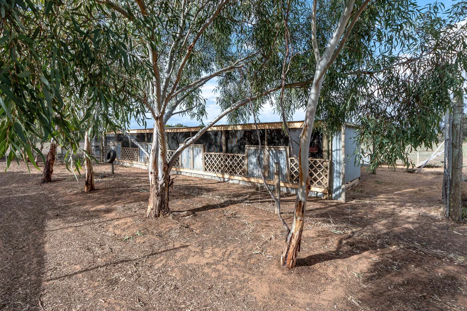 Additional image 23 of 217 Mallee Road, Walker Flat SA 5238