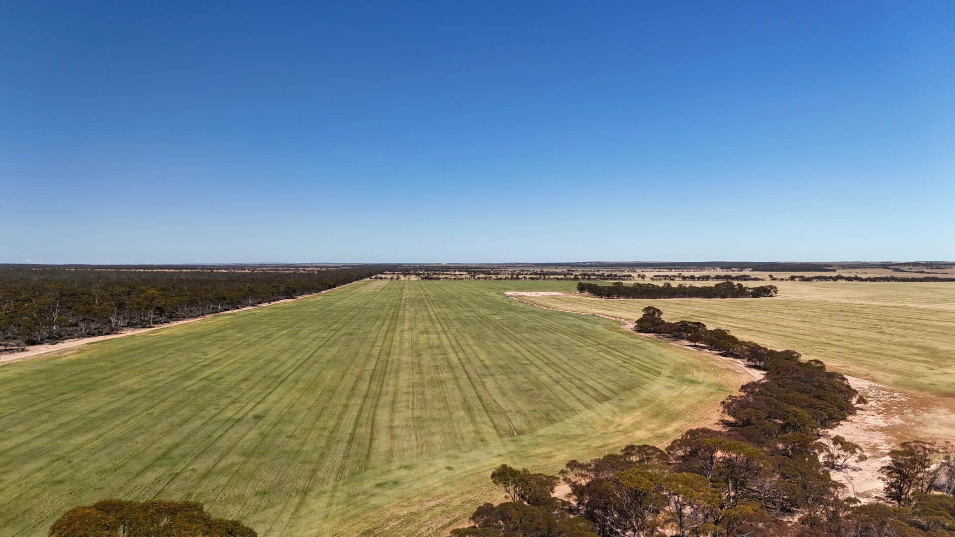 Additional image 26 of 3279 Calzoni Road, Hyden WA 6359