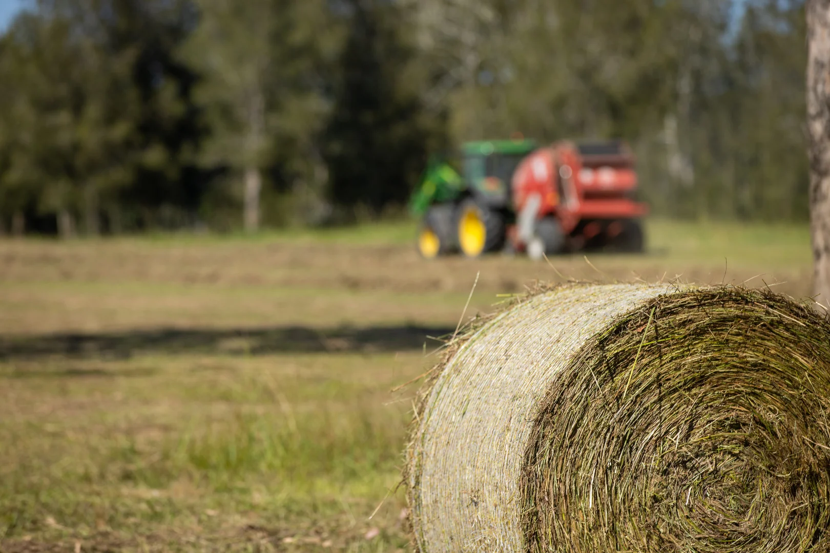 Additional image 6 of 79, 81 & 249 Elliots Road, Nabiac NSW 2312