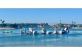 Additional image 55 of 40 Saratoga, Newport Beach, CA, 92660