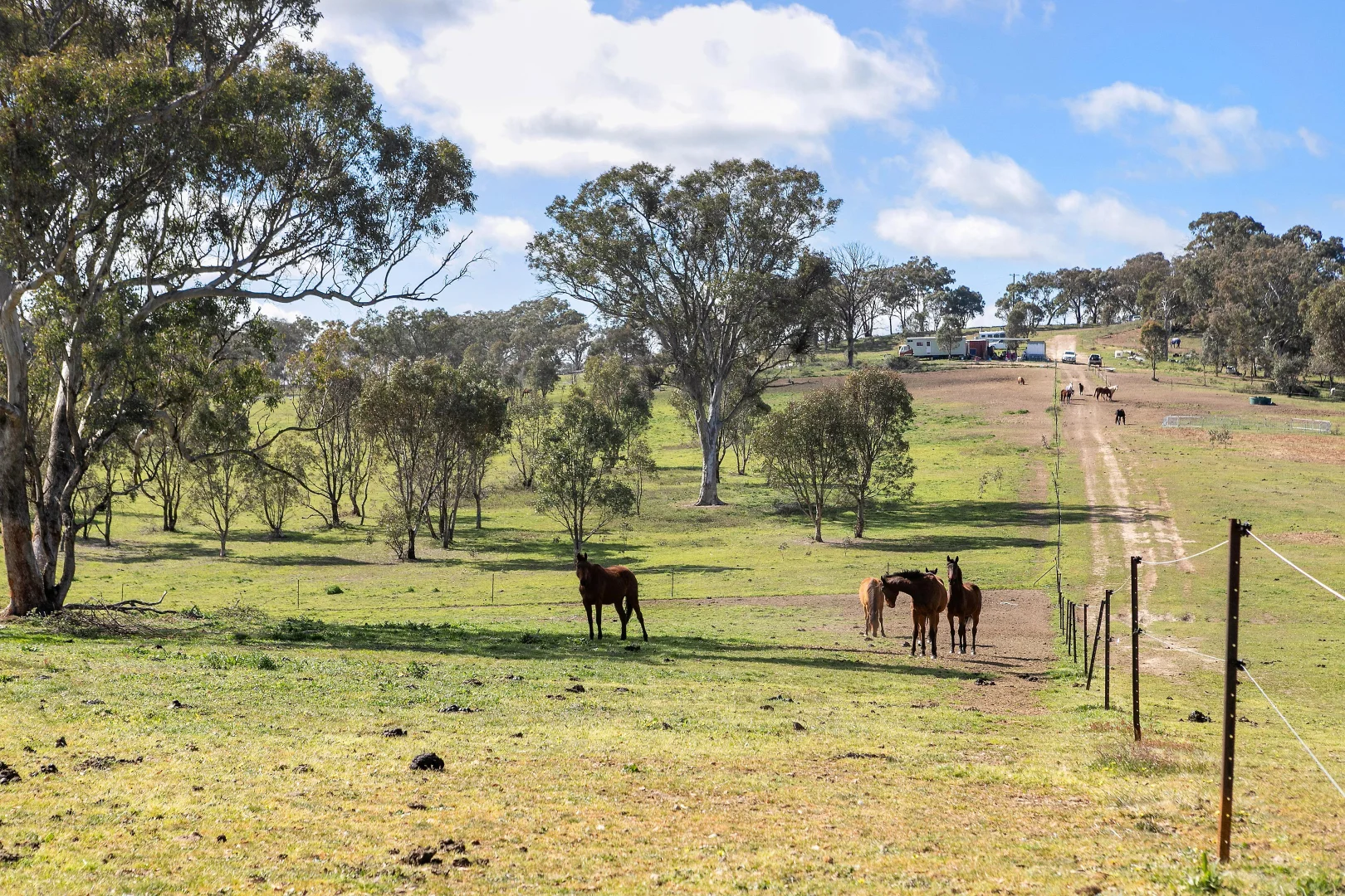 Additional image 4 of 257 Stadtmillers Lane, Bowning NSW 2582