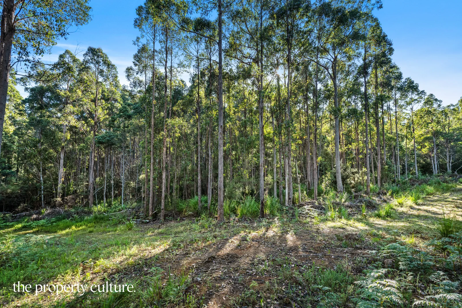 Additional image 14 of 2 Deering Street, Franklin TAS 7113