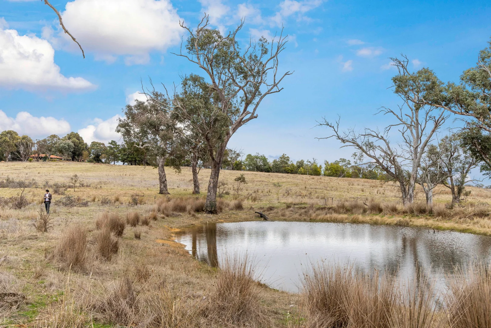 Additional image 14 of 10 Ryslipp Dr, Murrumbateman NSW 2582