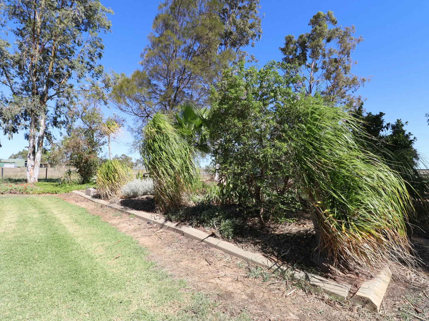 Additional image 33 of 260 Geoghegan Road, Roma QLD 4455