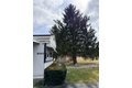 Additional image 29 of 6946 E Washington Street Ext, Bath, NY, 14810