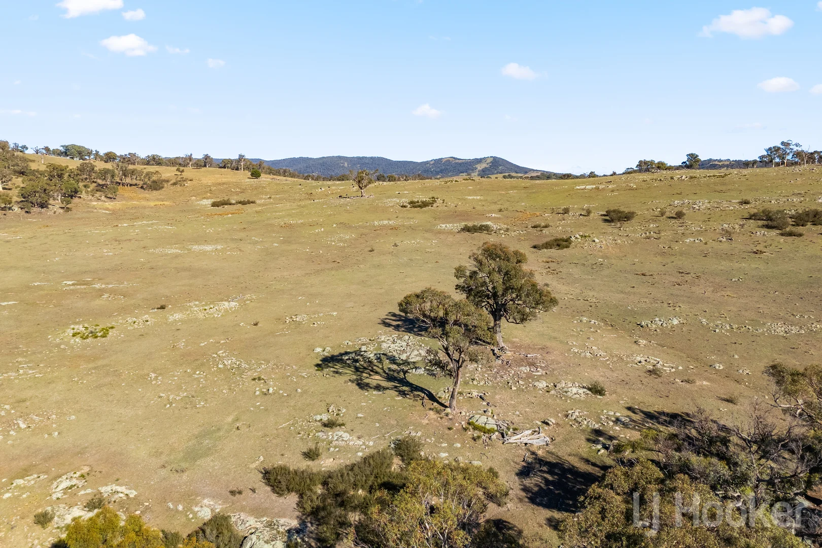 Additional image 12 of 877 Urila Road, Urila NSW 2620