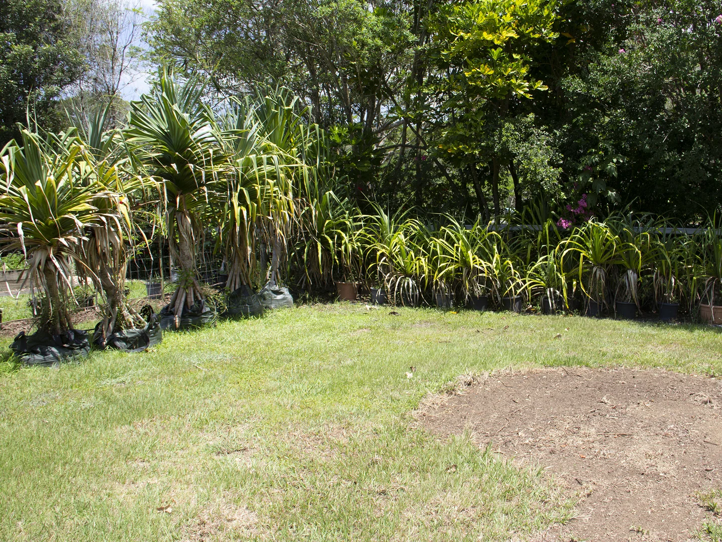 Additional image 24 of 400 Chilcotts Road, Chillingham NSW 2484