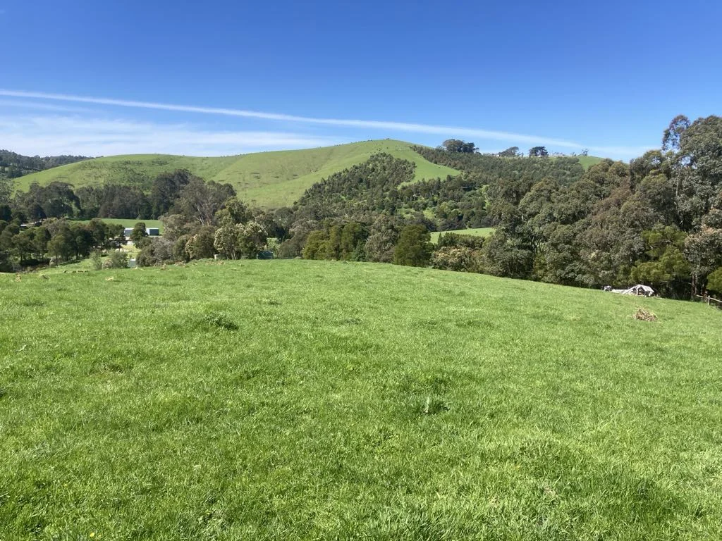 Additional image 6 of 465 Woomera Creek Rd, Toora North VIC 3962