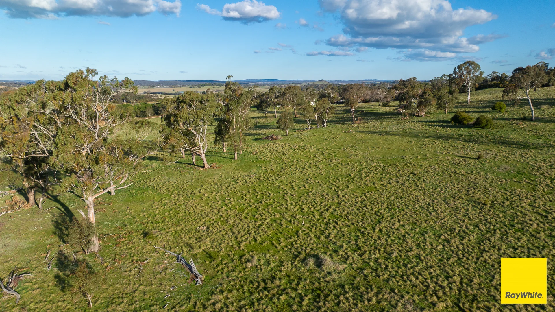 Additional image 19 of 15 Karina Close, Armidale NSW 2350