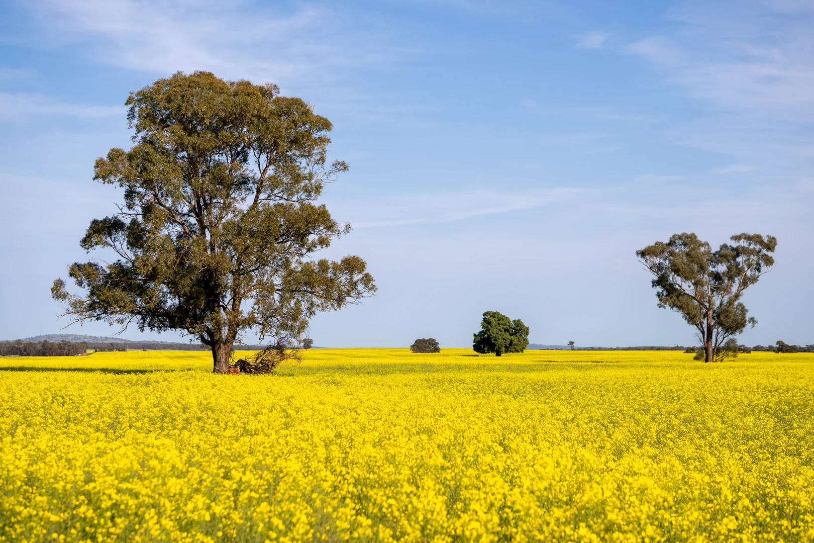 Additional image 27 of Weise Aggregation, Beckom, Ardlethan,, Ariah Park NSW 2665