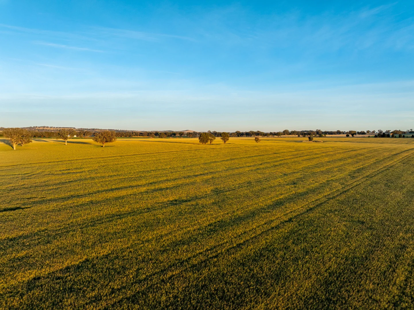 Additional image 14 of 158 Bethel Road, Burrumbuttock NSW 2642