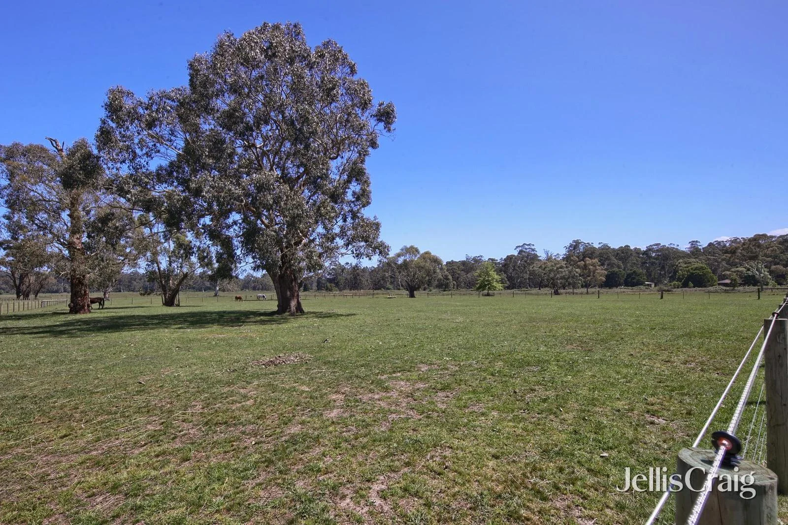 Additional image 32 of 260 Healesville Koo Wee Rup Road, Healesville VIC 3777