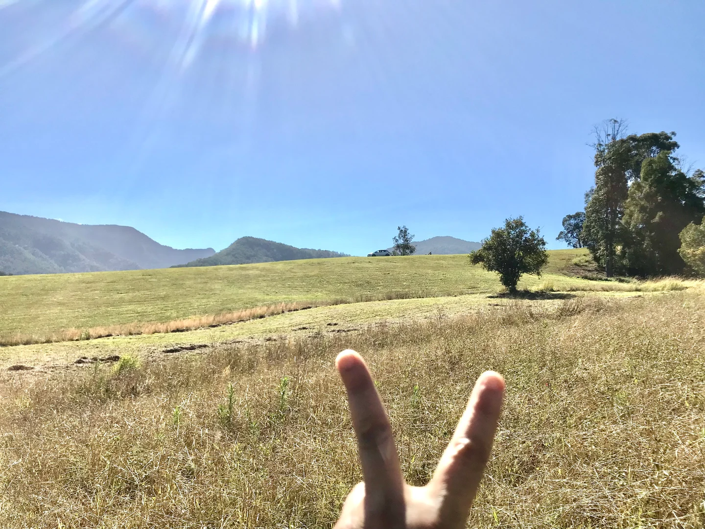 Additional image 12 of 17 Evelyn Way, Nimbin NSW 2480