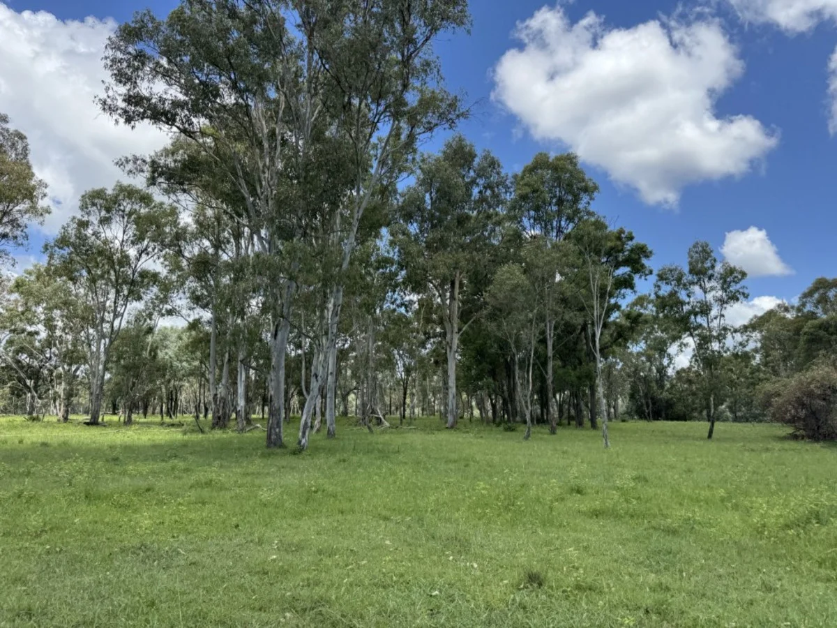Additional image 39 of 2655 Clonmel Road, Monto QLD 4630