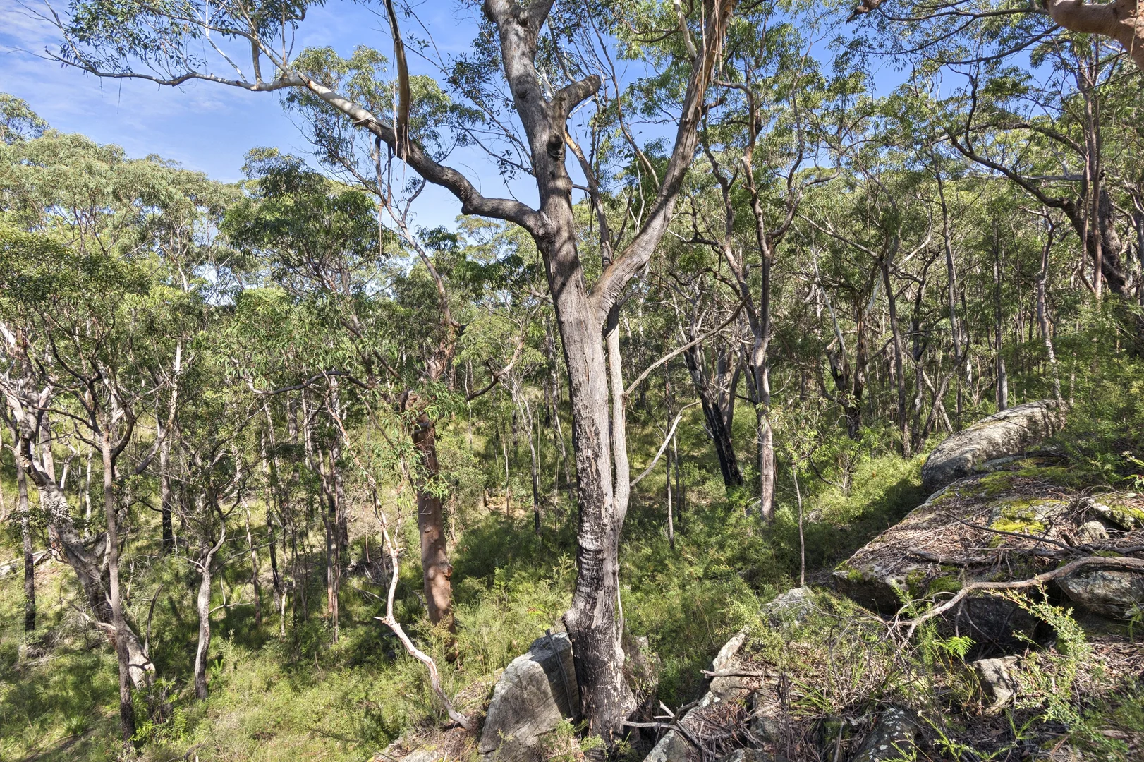 Additional image 17 of 174 Mountain Lagoon Road, Bilpin NSW 2758