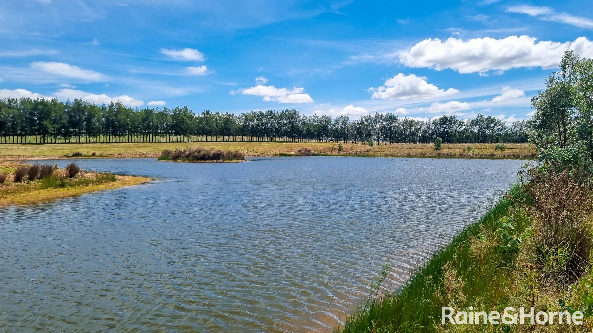 Additional image 4 of Young NSW 2594