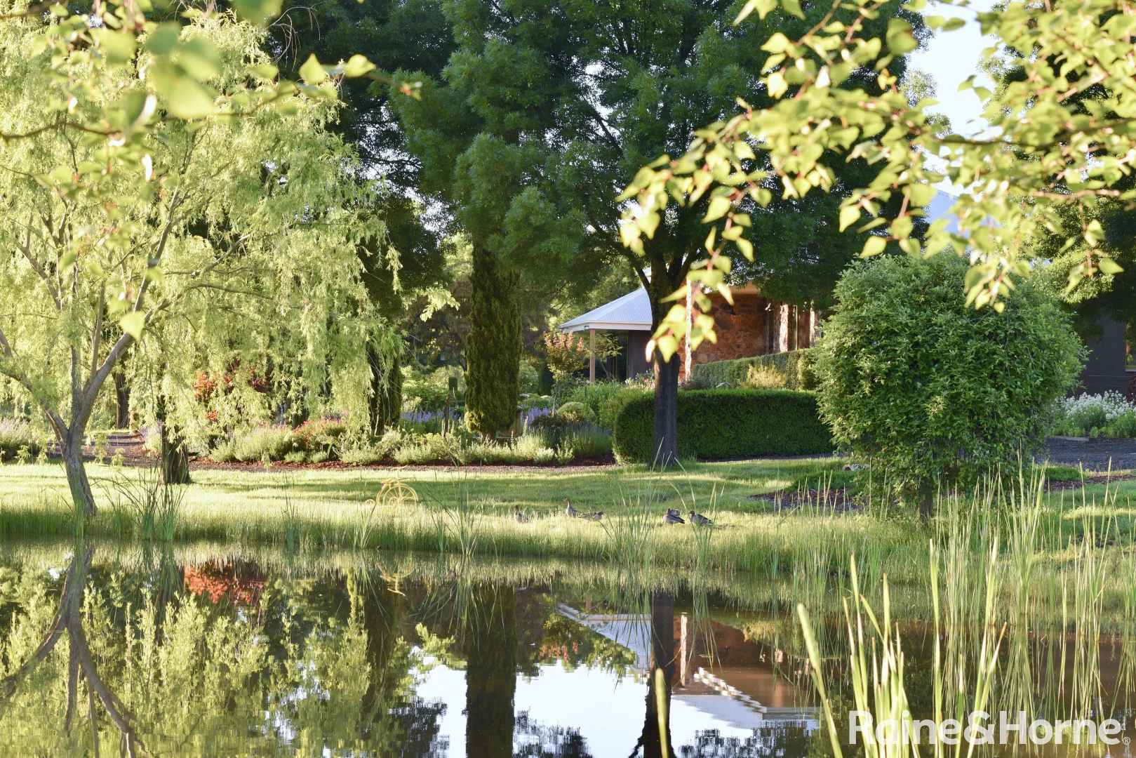 Additional image 2 of 52 Williams Lane, Riddells Creek VIC 3431