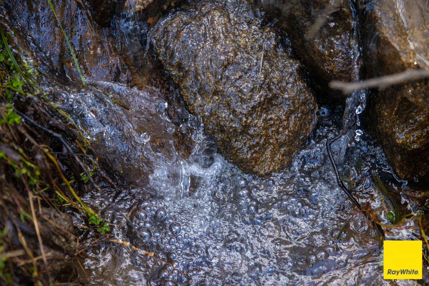 Additional image 17 of 8284 Armidale Road, Dorrigo NSW 2453