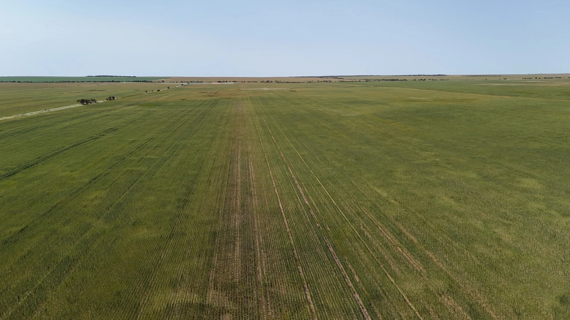 Additional image 2 of 2064 Binnu Road East, Ogilvie WA 6535