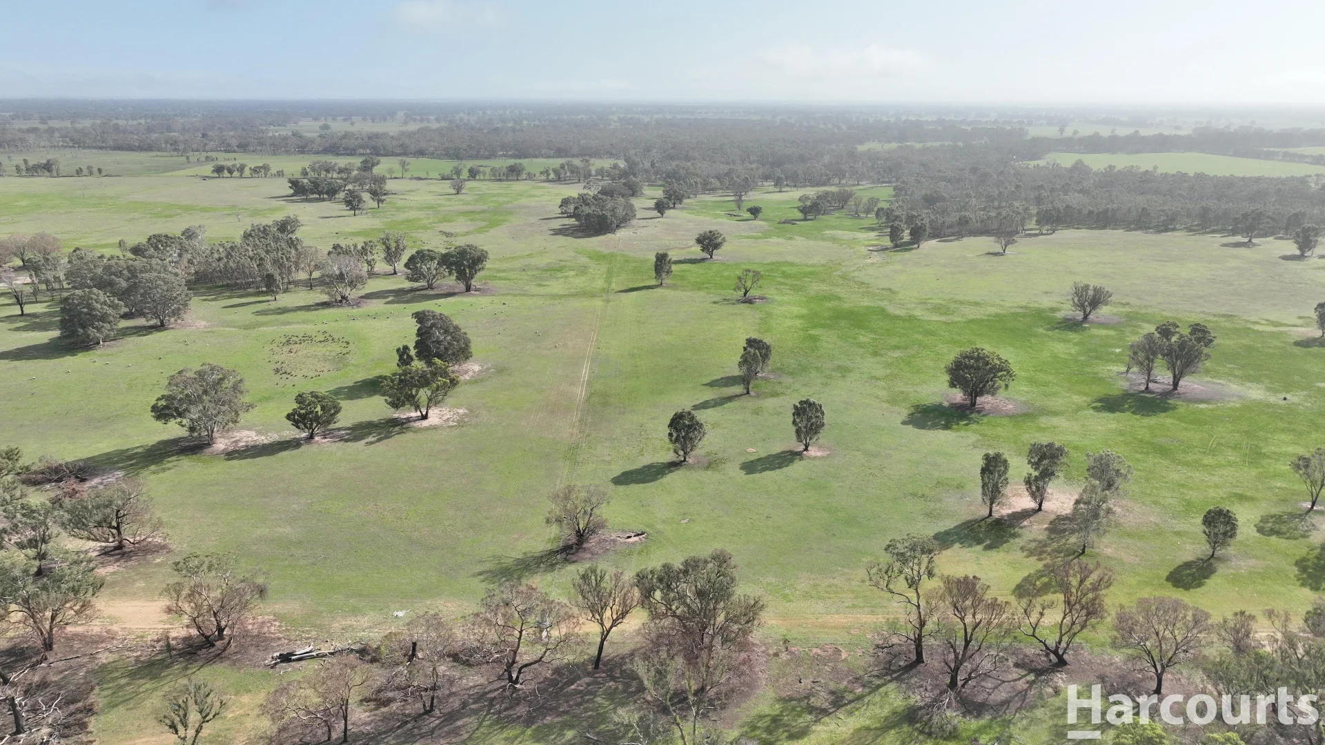 Additional image 32 of 6080 Western Highway, Dadswells Bridge VIC 3385