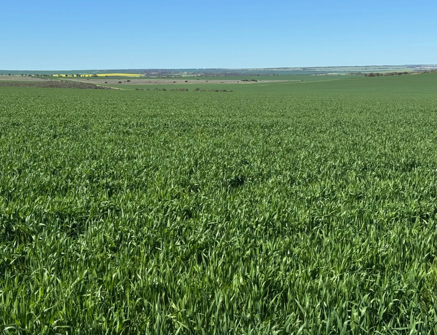 Additional image 16 of Valentine Road, Wicherina WA 6532