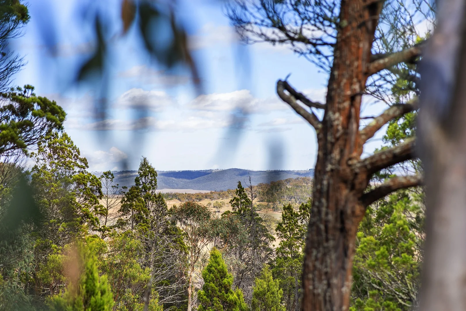 102 Woodlands Drive, Cooma NSW 2630